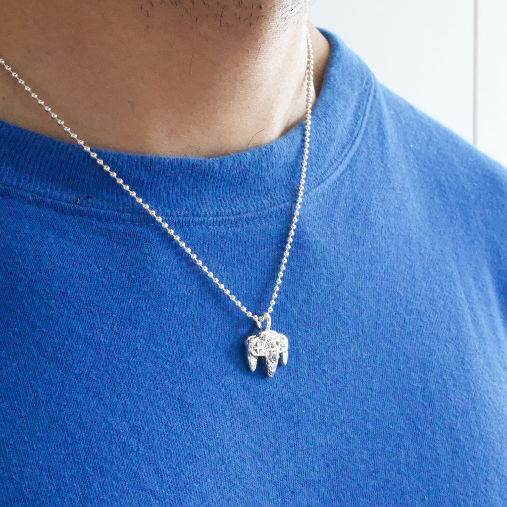 Controller Pendant