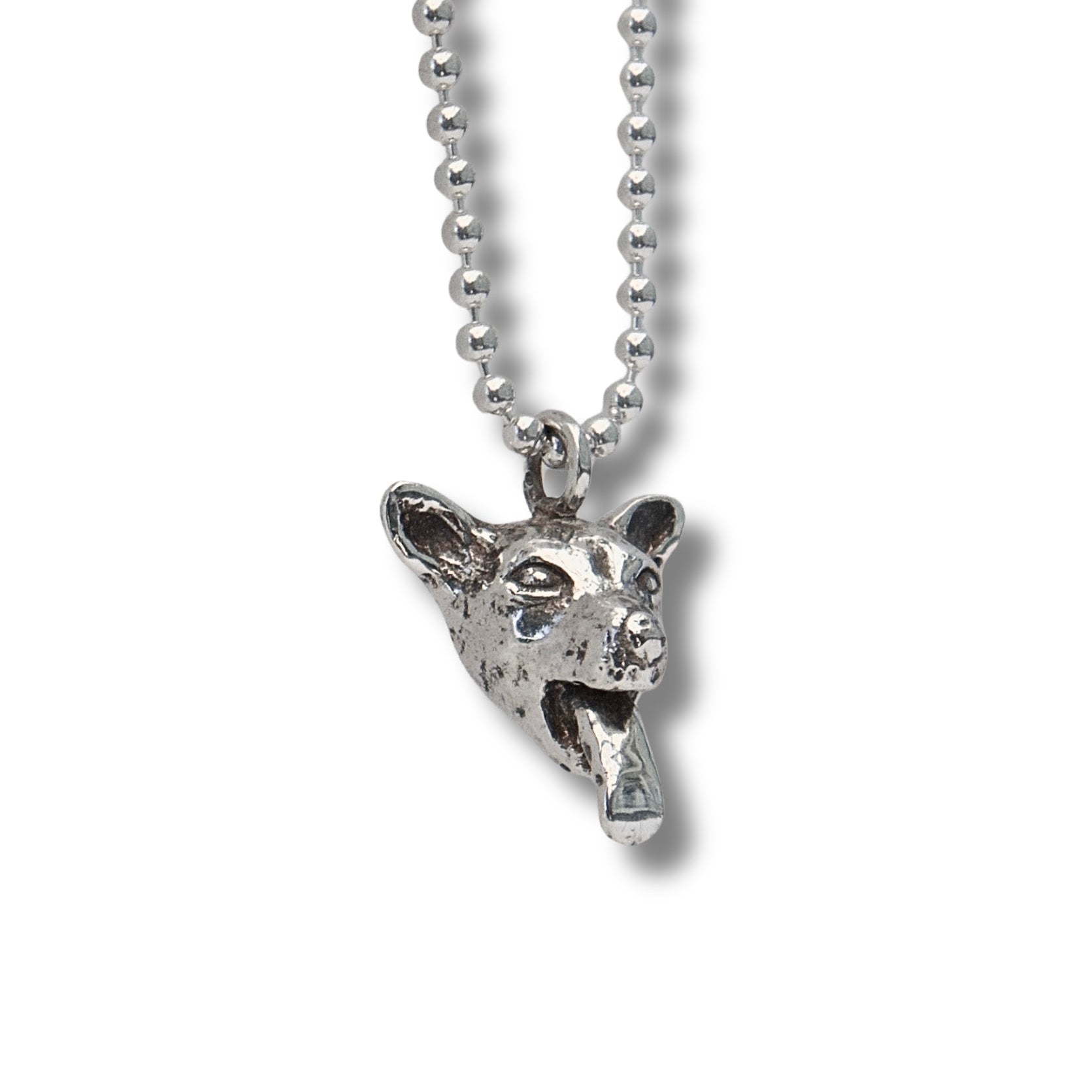 Cheeky Chihuahua Charm