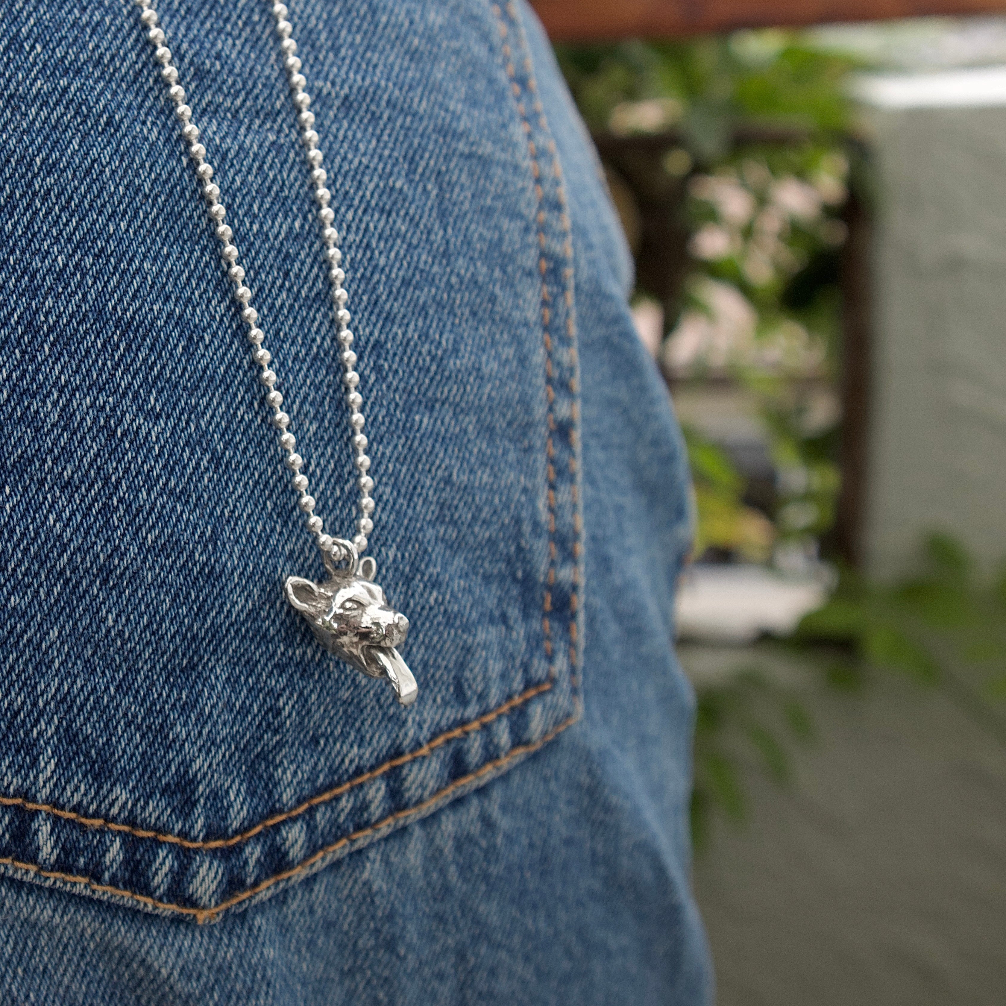 Cheeky Chihuahua Charm