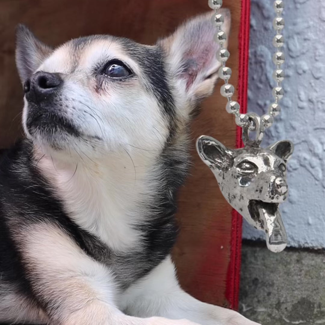 Cheeky Chihuahua Charm